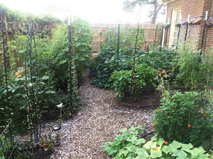 A large sensory garden