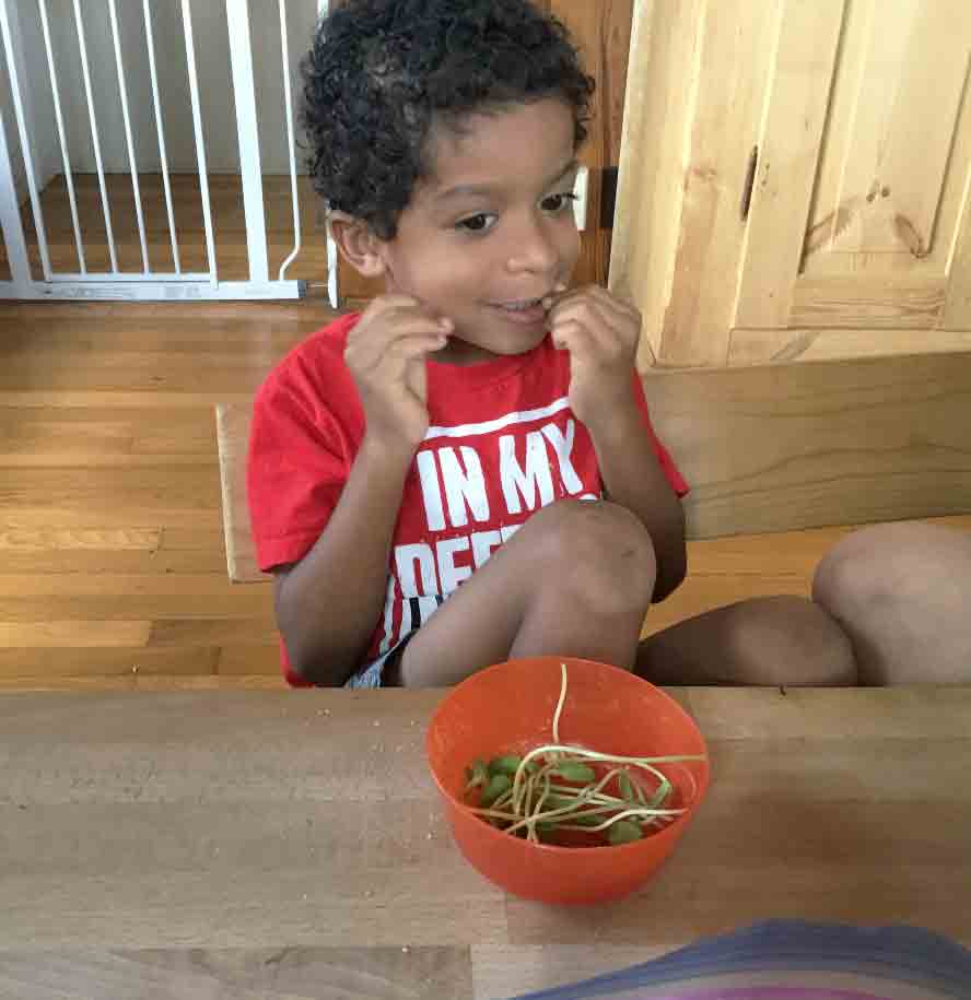 A child with autism tries new food during a speech therapy feeding program